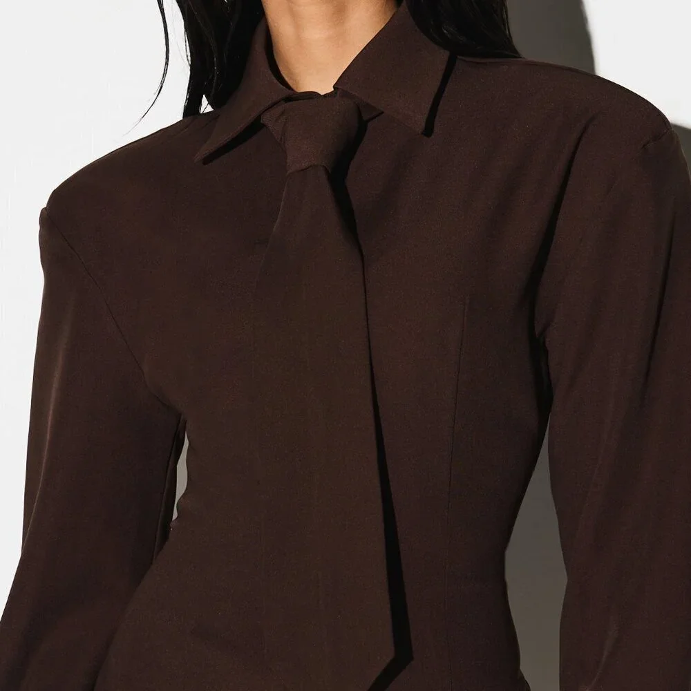 Brown Elegant Women's Long Sleeve Collared Tie Waist Mini Dress